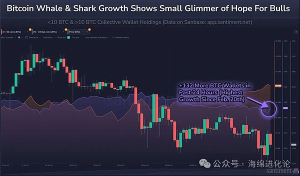 比特币ETF热潮背后：为何专业投资者对现货产品情有独钟？