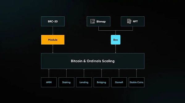 从华尔街精英到比特币布道者：Dan Morehead的加密传奇