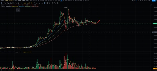 波场TRON用户量创纪录：1.93亿账户背后的成长故事
